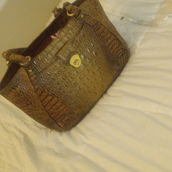 Brahmin - Picture 9 of 12